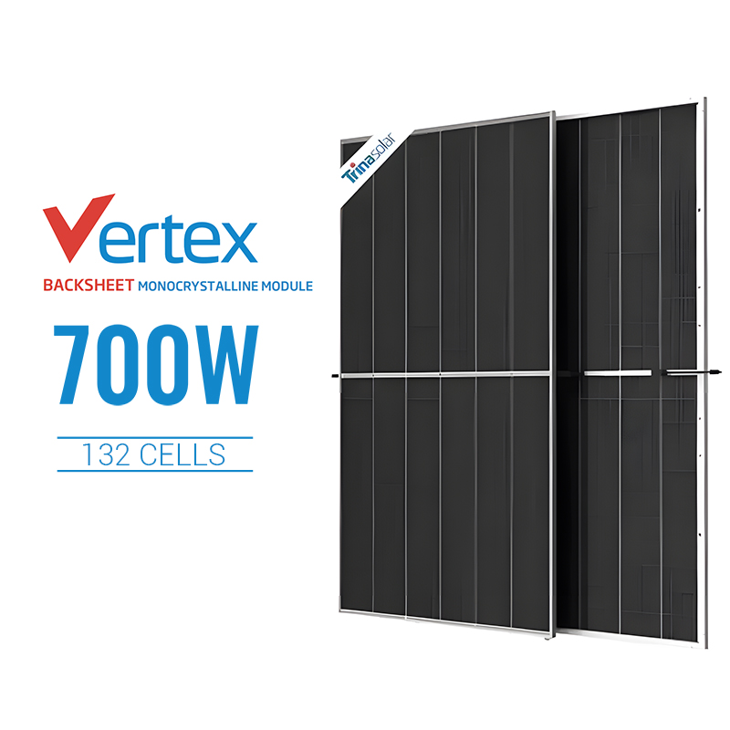 700W Trian Bifacial Solar Panel