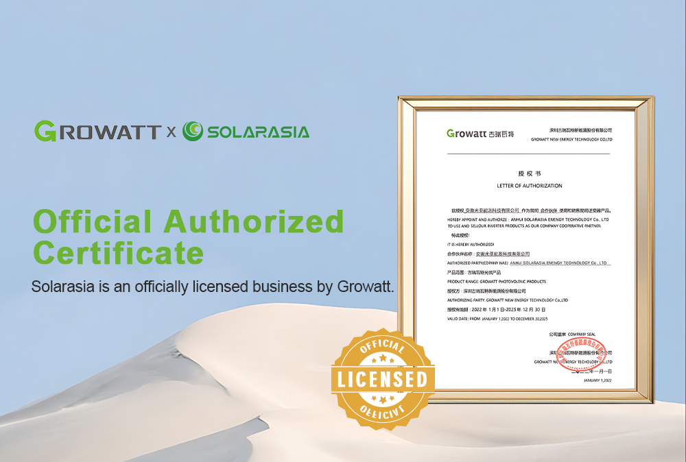 Growatt Solar Inverter On Grid Inverter 100 Kw 120Kw 125Kw Solar Inverters Growatt Solar Inverter On Grid Inverter 100 Kw 120Kw 125Kw Solar Inverters