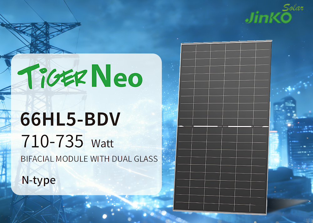 Wholesale jinko tiger Neo n Type 710W 715W 720W 725W 730W 735W Bifacial Module Dual Glass Solar Panels for Solar Power System