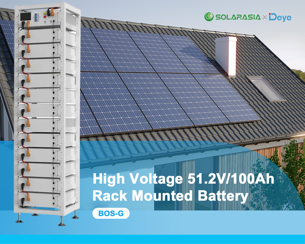 Rack Mount Lithium Polymer Battery Pack 51.2v 100Ah 5.12kwh Lithium Ion Batteries with Bms for Home Solar Energy System